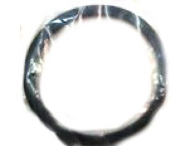 Chrysler Executive Limousine Fuel Pump Seal - 6031475