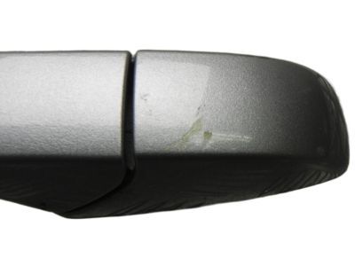 Ram 1NA50JSCAD HANDLE Exterior Door