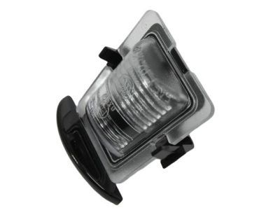 Jeep 68064721AA LAMP License Plate