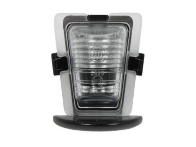 Jeep 68064721AA LAMP License Plate