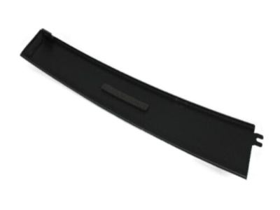 Mopar 4806146AB Applique, Front Passenger Side