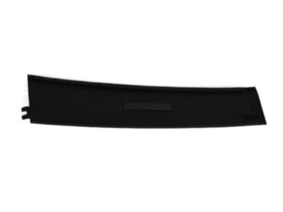 Mopar 4806146AB Applique, Front Passenger Side