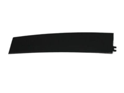 Mopar 4806146AB Applique, Front Passenger Side