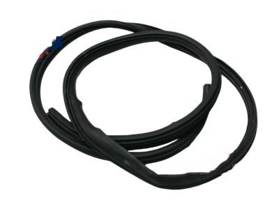Mopar 55399018AB Surround Weatherstrip, Rear Outer