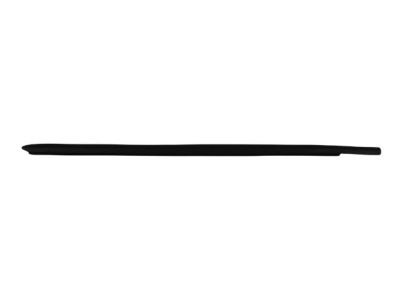 2009 Dodge Ram 1500 Door Seal - 55372139AB
