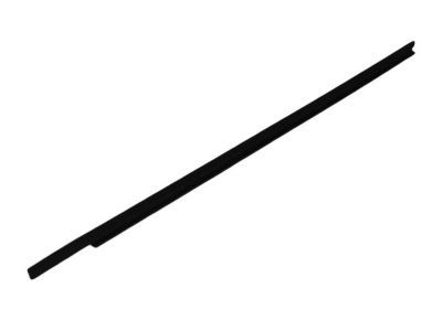 Mopar 55372139AB Weatherstrip Rear Door Belt Outer