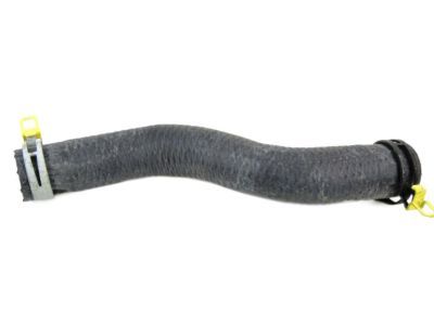 Dodge 5005311AA HOSE AND CLAMP Radiator Outlet
