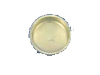 Dodge 4429956 PLUG Expansion