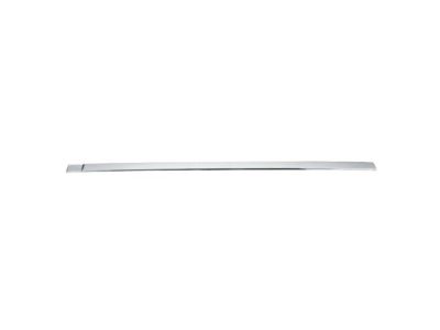 2020 Ram 1500 Door Moldings - 5ZH26SZ0AB