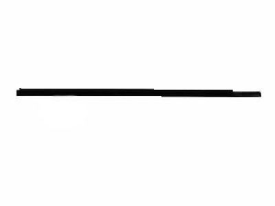 Chrysler Door Seal - 4724781AG