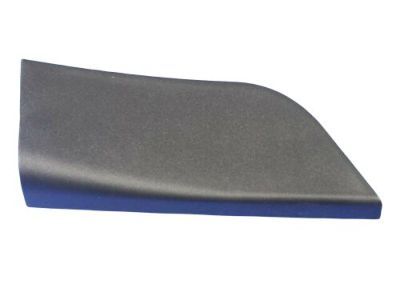 Ram 1TS94DX9AB BEZEL Front Door Mirror