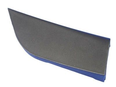 Ram 1TS94DX9AB BEZEL Front Door Mirror