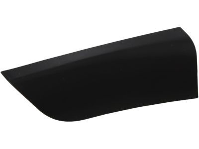 Ram 1TS94DX9AB BEZEL Front Door Mirror