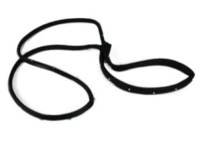 Mopar 5065153AB Weatherstrip Front Door Mounted Door Mounted