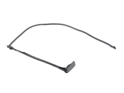 Ram 68229641AD Door Weatherstrip