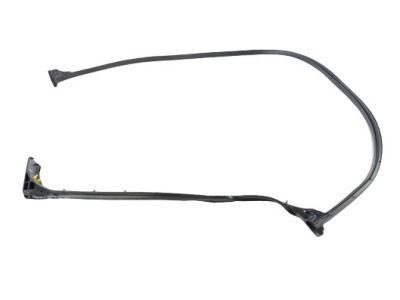 Ram 68229641AD Door Weatherstrip
