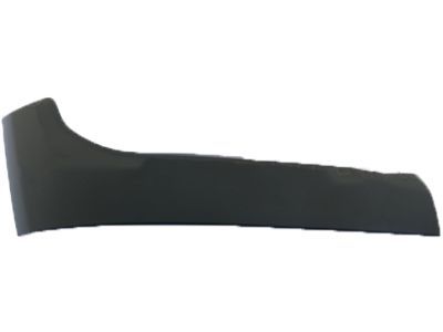 Ram 6NB27TZZAB Side Trim