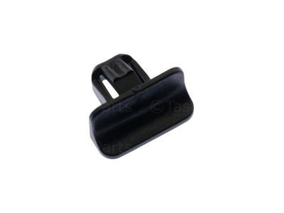 Ram 68309767AA CLIP Bezel
