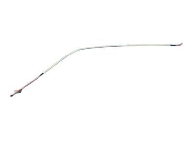 Dodge 4805839AD MOLDING Rear Door