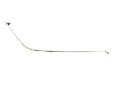 2006 Dodge Magnum Door Moldings - 4805839AD