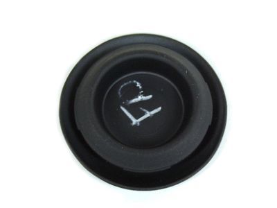 Mopar 68289232AA Reinforcement Plug
