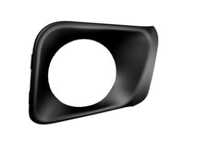 Jeep 68203218AA BEZEL Adaptive Cruise Control