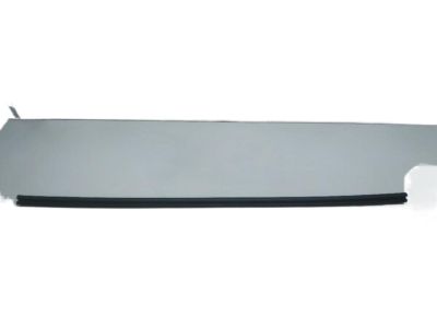 Dodge Caravan Weather Strip - 4754944AB