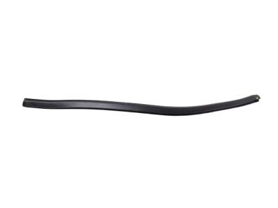 Jeep 68143138AC Lower Weatherstrip