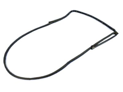 Ram 5500 Door Seal - 55112363AC