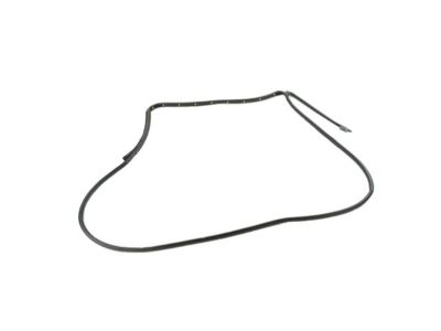 Ram 55112363AC WEATHERSTRIP Rear Door Mounted