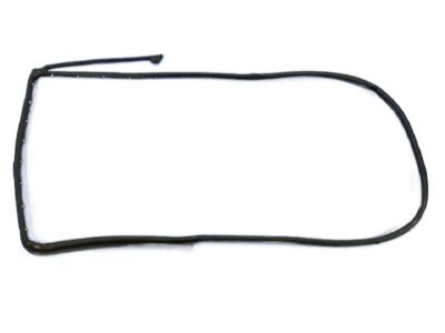 Ram 55112363AC WEATHERSTRIP Rear Door Mounted
