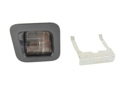 Ram 55078094AE LAMP License Plate