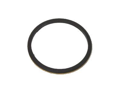 Ram 5086763AA O RING Fuel Injection Pump Diesel