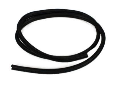 Dodge Ram 2500 Door Seal - 55275609AD