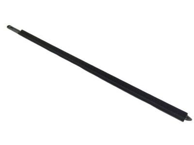Ram 68245334AC WEATHERSTRIP Rear Door Belt Outer