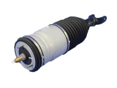 Ram 4877146AC SPRING AND SHOCK ASSEMBLY Air Suspension