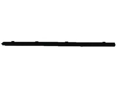 Dodge 55276943AD WEATHERSTRIP Door Belt Outer