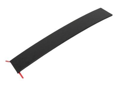 Mopar 5020664AA Applique B Pillar