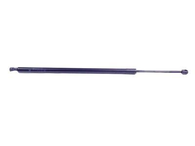 Jeep 68165052AF Lift Cylinder