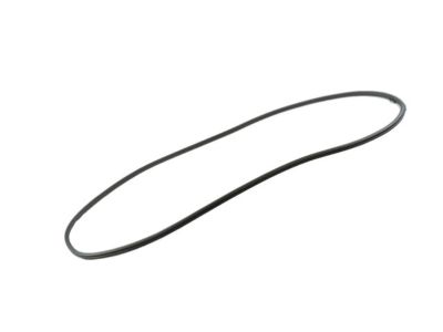 Chrysler 68313522AD WEATHERSTRIP Rear Door Opening