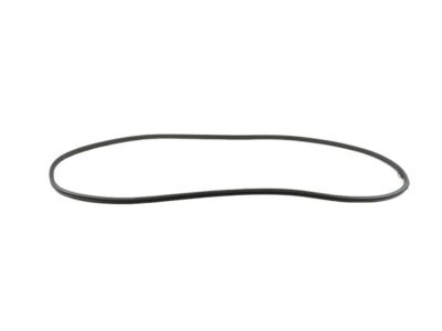 Chrysler Voyager Door Seal - 68313522AD
