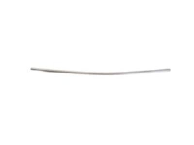 Mopar 68228015AG Molding Day Light Opening Front Door