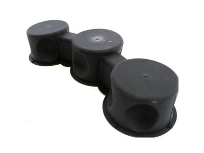 Ram 68206301AA Bezel Lining