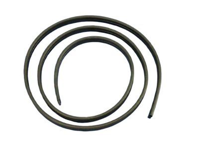 Dodge 5065640AB WEATHERSTRIP Liftgate Opening