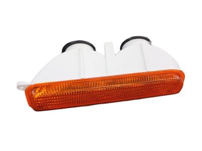 Jeep 55055142 LAMP Park and Turn Signal