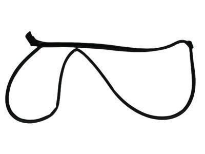 Mopar 68045994AA Surround Weatherstrip, Front Outer Passenger Side