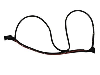Dodge Nitro Door Seal - 68045994AA