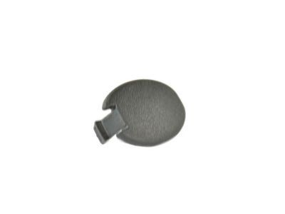 Ram 1ZQ85JXWAA PLUG Floor