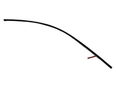Mopar 57010505AE Molding Front Door