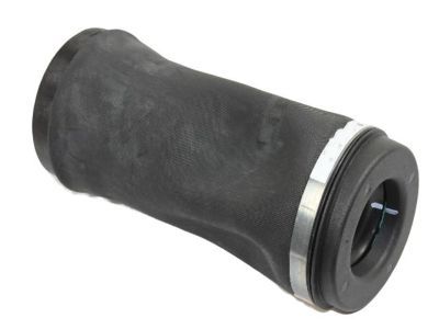 Mopar 68029912AF Air Spring, Rear